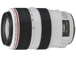 佳能EF 70-300mm鏡頭與普通數碼相機 捕捉遠方的魅力與便攜日常